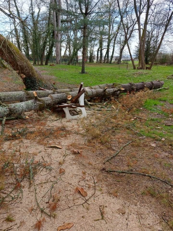 De nombreux dégâts suite aux vents violents sur la Saône et Loire 