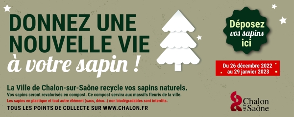 COLLECTE DES SAPINS DE NOEL - 16 parcs mis à disposition dès lundi 26 décembre à Chalon
