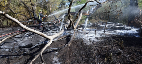 Deux petits abrutis pris en flagrant délit d'incendie dans l'Esterel