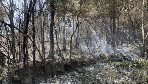 Incendies dans le Jura : plus de 300 hectares détruits, le feu fixé en partie