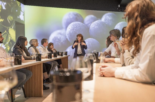 L’École des Vins de Bourgogne : acteur central de la Cité des Climats et vins de Bourgogne