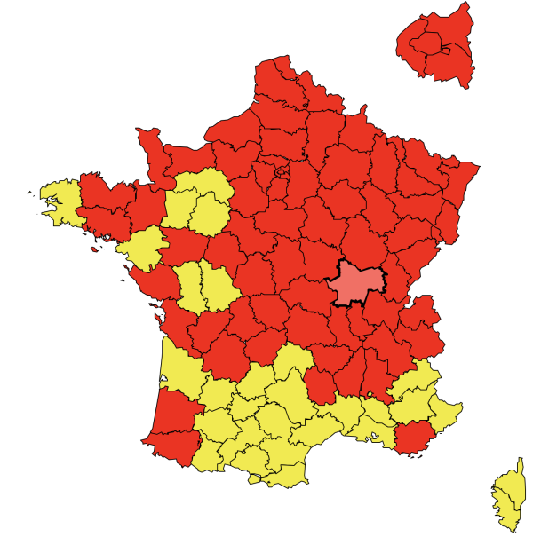 Attention, les pollens de bouleau débarquent en Saône et Loire 