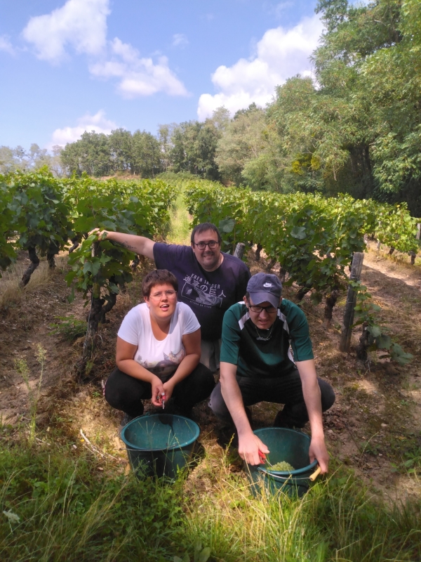 Journée vendanges pour les résidents du foyer Arcadie 