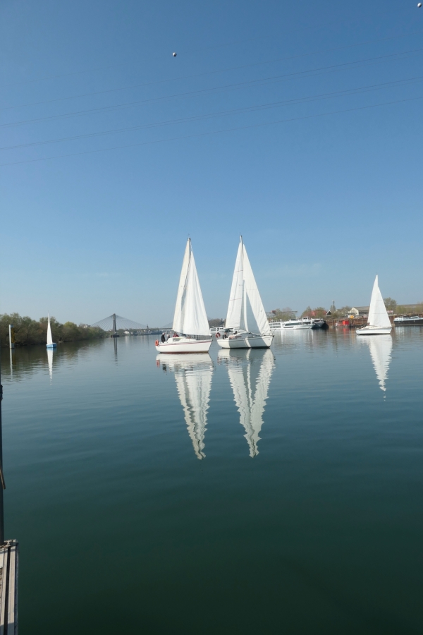 Deux jeunes du Yacht Club trustent les deux premières places lors de la régate d’ouverture