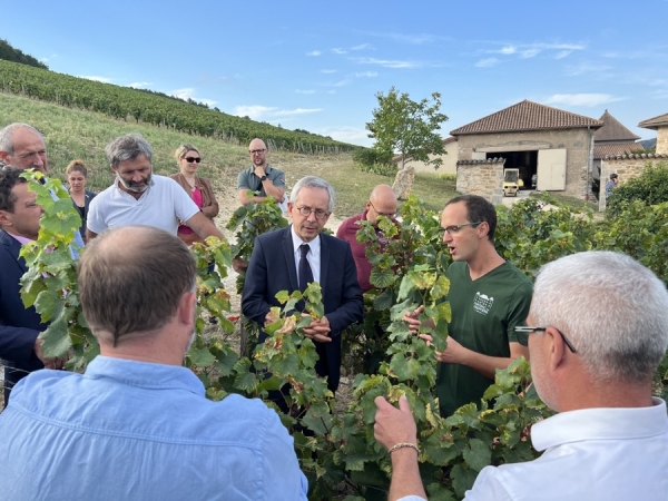 Le préfet de Saône et Loire,  Yves Séguy, dans les vignes du château de la Greffière