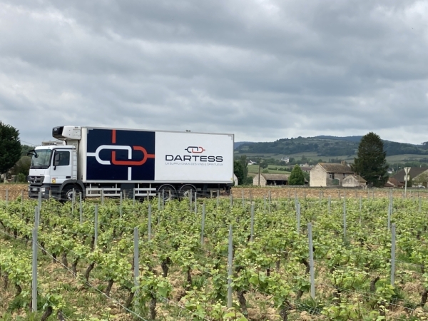 A Fontaines, des bordelais à l’assaut des vignobles bourguignons