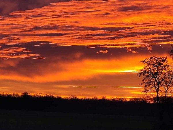 Un ciel embrasé pour fermer l'année 2022 ... 