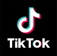 TikTok, Netflix et autres « applications récréatives » interdites sur les téléphones professionnels des fonctionnaires d’Etat français