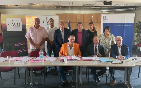 En Côte d'Or, le 1er « village des vendangeurs » accueille 70 saisonniers
