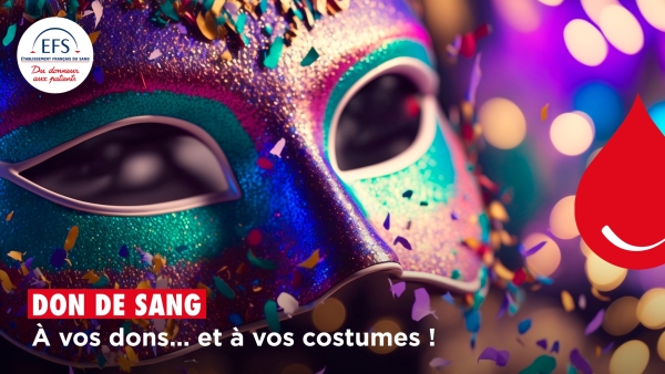 CARNAVAL - La Maison du don à Chalon endosse les couleurs de carnaval 