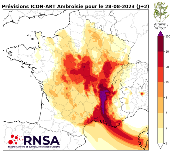 ALLERGIES - La Saône et Loire placée en rouge face à l'ambroisie