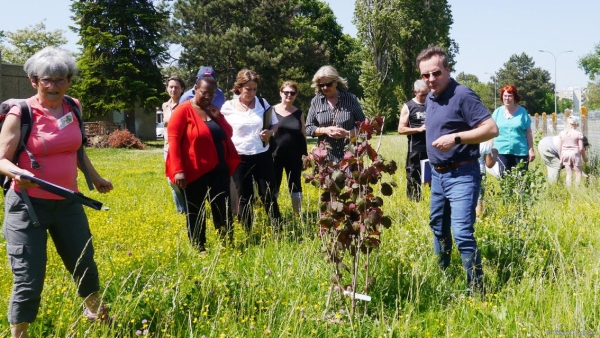 Visite au jardin-forêt du Bois Gourmand du Chalonnais