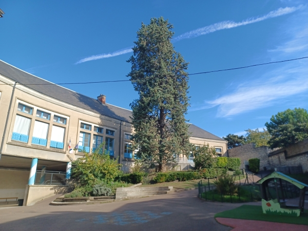 Un boulanger à l'école maternelle de l'EST