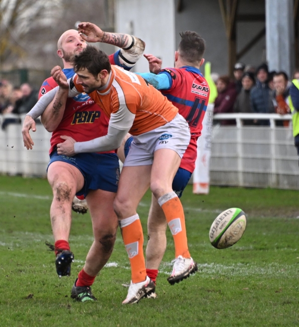 RUGBY - FEDERALE 2 - Les Tangos de Chalon se sont inclinés à nouveau contre Le Creusot