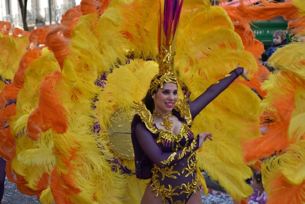 Au cœur de la 100e édition du Carnaval de Chalon-sur-Saône (suite )