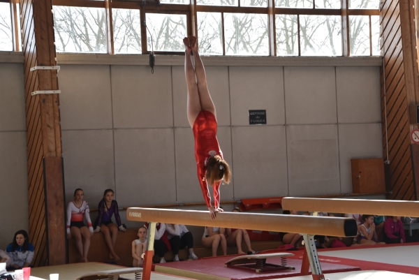 Succès de l’Eveil pour son gala des étoiles de la ‘Gymnastique Artistique’