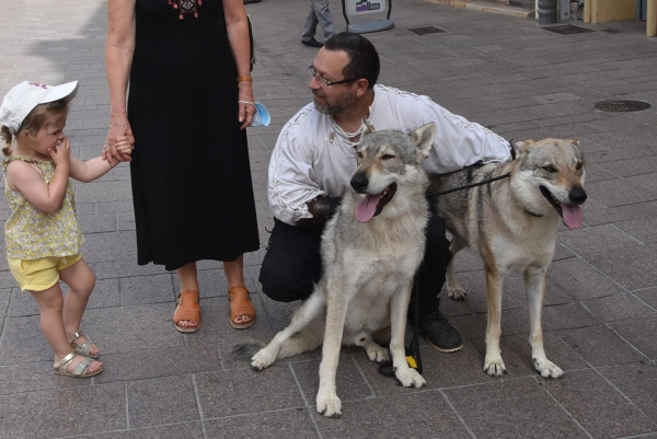 Venez à la rencontre des loups sur le marché artisanal médiéval rue aux Fèvres 