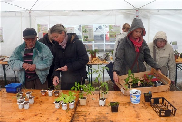 L'édition 2021 du Troc Plantes aura bien lieu ce dimanche à Givry.