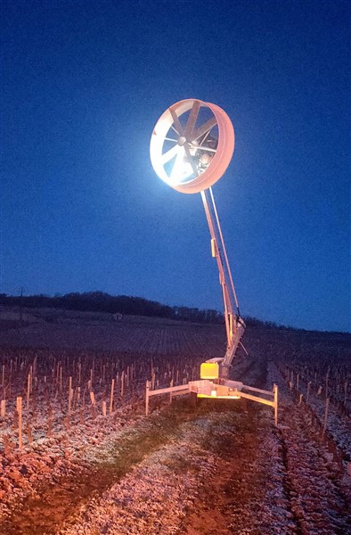 Activité nocturne inhabituelle dans certaines vignes givrotines