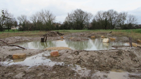    Création de mares à Champforgeuil pour sauver de nombreuses espèces animales et plantes aquatiques.