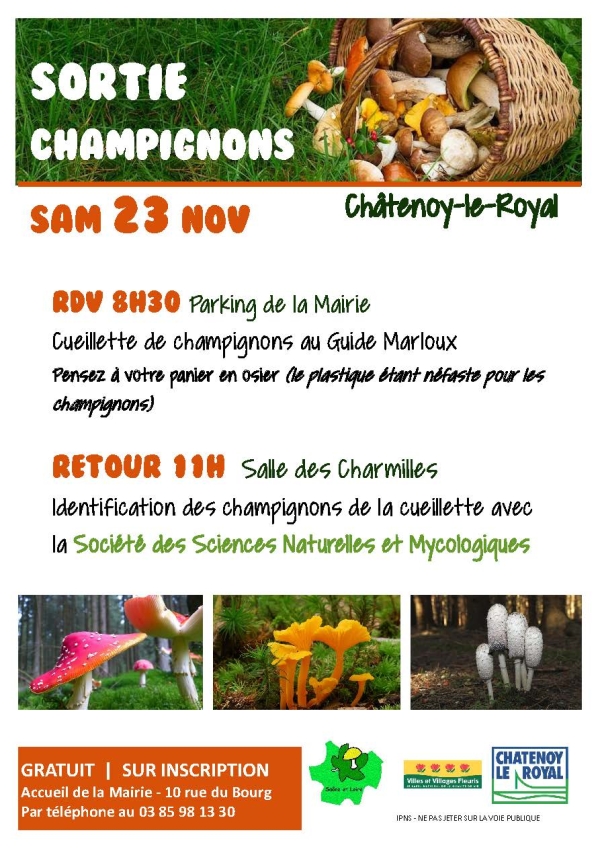 Sortie Champignons à Châtenoy-le-Royal samedi 23 novembre 2019