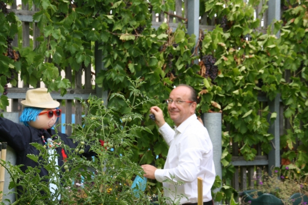 La photo du jour : Le Maire de Châtenoy le Royal grappille dans la vigne !