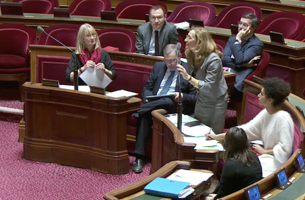 Violences conjugales : le Sénat vote pour le bracelet électronique anti-rapprochement