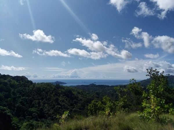 A Mayotte des élus détournent des bons alimentaires à leur profit !