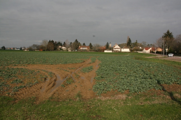 Projet d’un nouveau lotissement rue du Bourg à Châtenoy-le-Royal