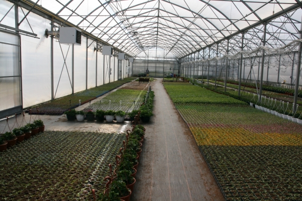 Horticulture et maraîchage, de nouvelles serres à l’Atelier des PEP de Châtenoy-le-Royal
