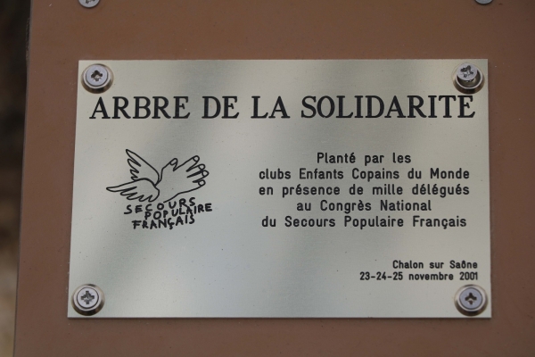 La plaque  ̏Arbre de la solidarité˝ du Secours Populaire Français retrouve sa place au pied du tulipier au parc Georges Nouelle. 