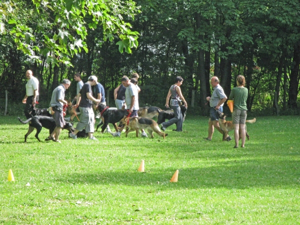  ESCCR Retour sur le terrain pour les chiens et les maitres 