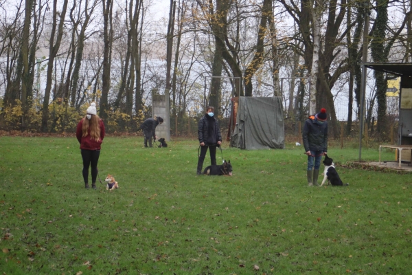 Le club canin de Châtenoy-le-Royal est de nouveau ouvert