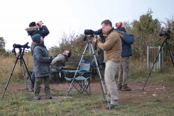 EuroBirdwatch, toute l’Europe avait les yeux tournés vers le ciel  