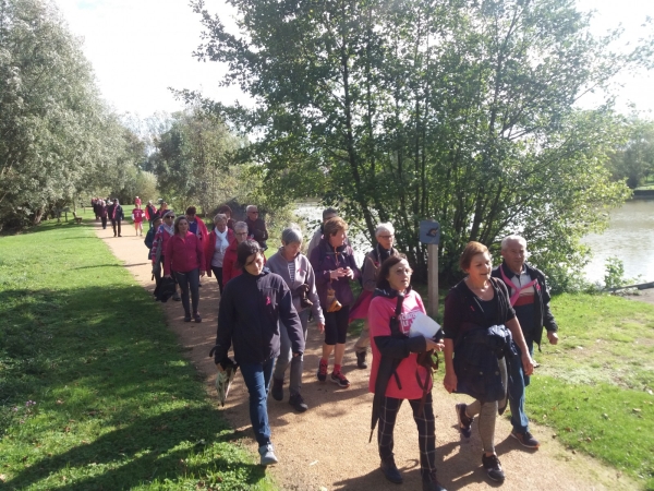 La Marche Rose de Châtenoy-le-Royal est maintenue le mercredi 7 octobre