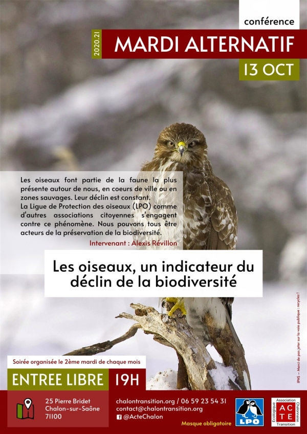 Mardi alternatif d'ACTE : «Les oiseaux, un indicateur du déclin de la biodiversité»