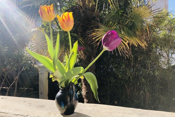 Les fleurs de l’espoir… Silence, ça pousse !