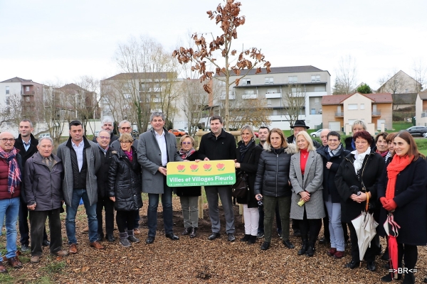 Le 1er arbre de l'opération "60 arbres pour les 60 ans" a été planté