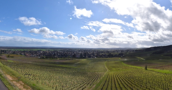Le Département de Saône et Loire  fait la promotion du vignoble givrotin