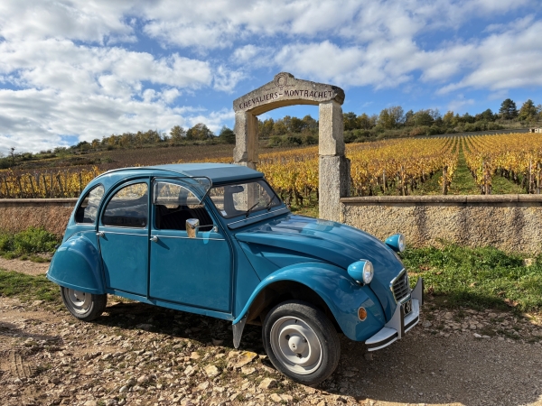 Beaune - Redécouvrir la Bourgogne autrement au volant d’une mythique 2CV
