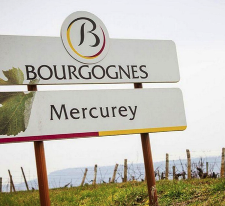 Centenaire de l'appellation Mercurey : un siècle d'excellence viticole fêté ce samedi 9 mars