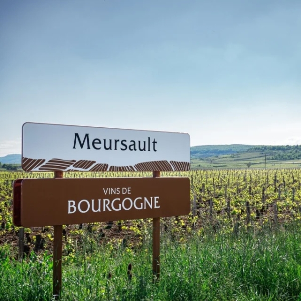 Publicité contestée - Aldi retire son spot radio après la colère du Comité Bourgogne