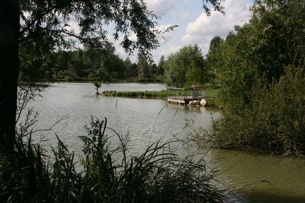 Un projet de parc animalier à l’étang Chaumont à Chatenoy le Royal