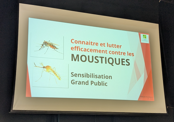 Eviter la prolifération des moustiques c’est l’affaire de tous