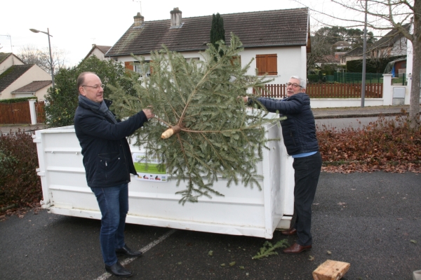 Recyclez vos sapins de Noël !