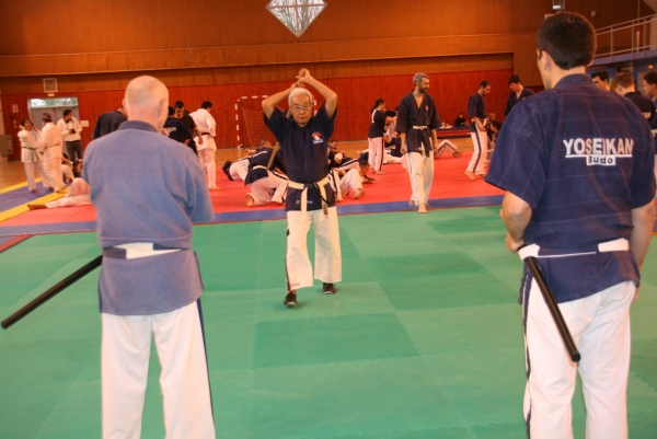 Yoseikan Budo : le maître Hiroo Mochizuki à Châtenoy le Royal