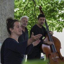 Chalon Dans la Rue : Découvrez Cabaret Végétal !