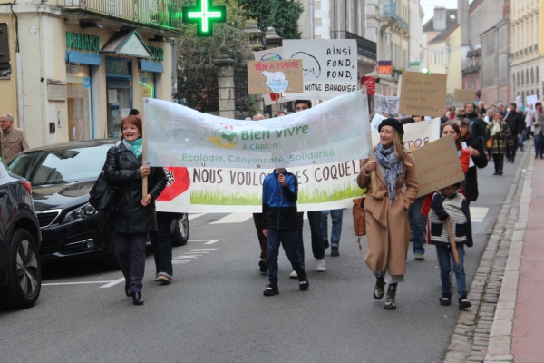 Marche pour le climat : 200 personnes rassemblées à Chalon-sur-Saône