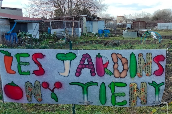 «Les jardins familiaux ne sont pas menacés», le maire tient à rassurer les jardiniers de Saint-Jean-des-Vignes
