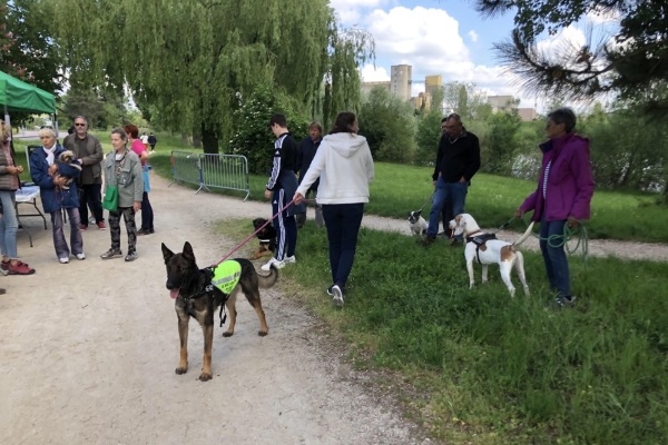 Belle réussite pour la Balade solidaire au profit de la SPA du Chalonnais